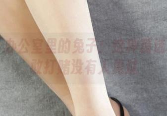 丽柜 – 办公室里的兔子：这种精选图库我敢打赌没有人见过