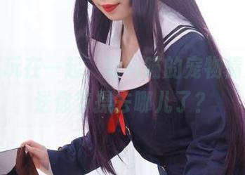 俩只喵玩在一起，胡桃喵的宠物情人写真送你节操去哪儿了？