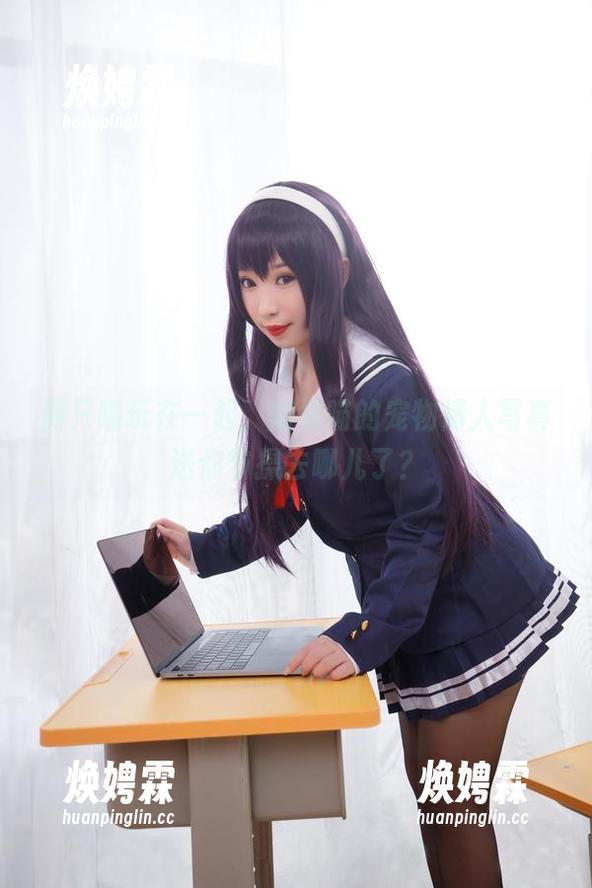 俩只喵玩在一起，胡桃喵的宠物情人写真送你节操去哪儿了？